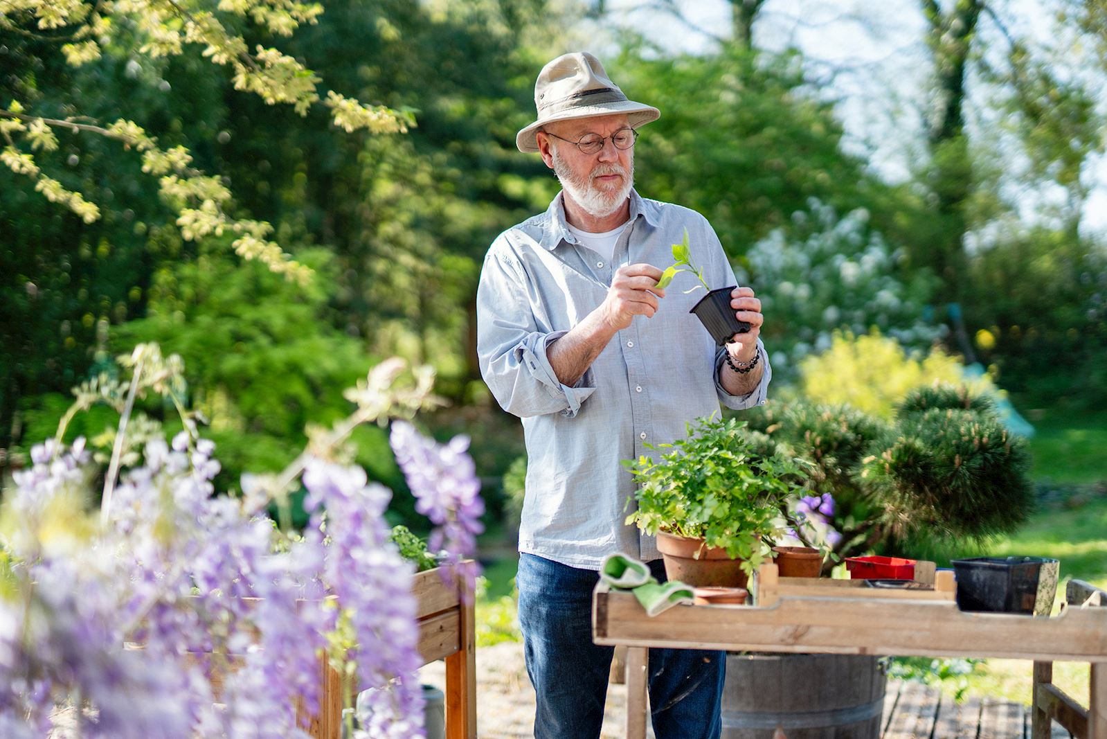 man tending to plants and flowers on a sunny day