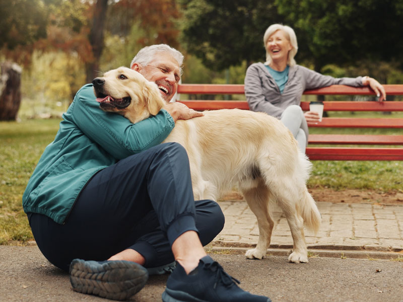 The “pawsitivity” of pets